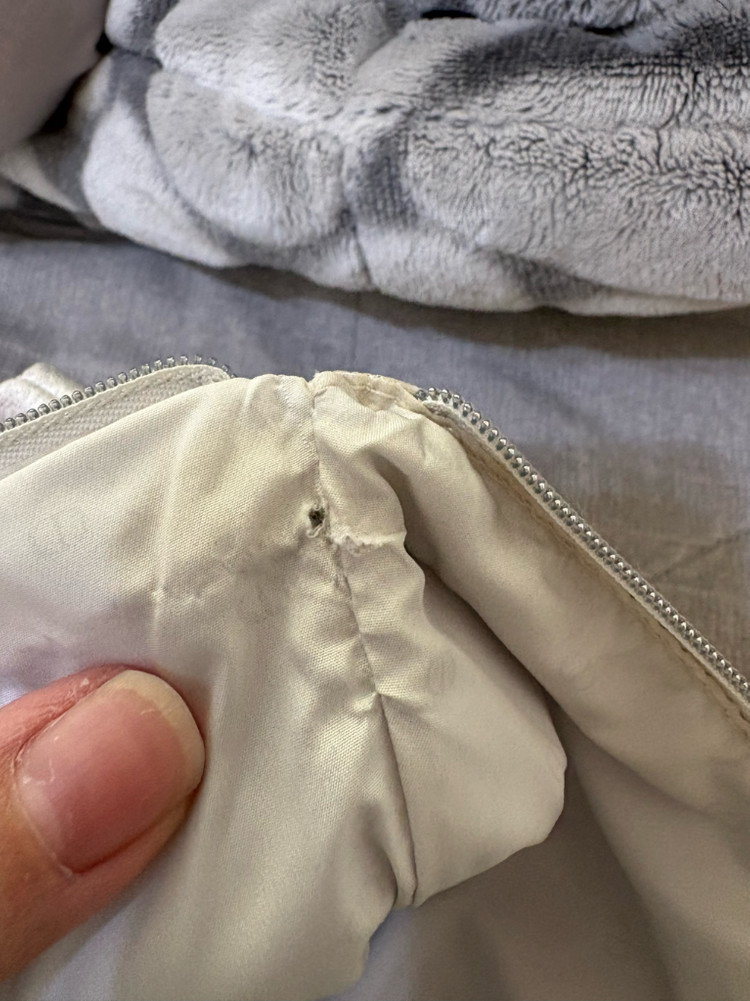 샤넬 ,디올 파우치--3