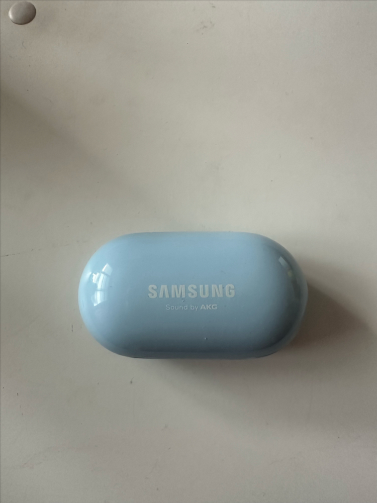 버즈 플러스 본체+오른쪽--0