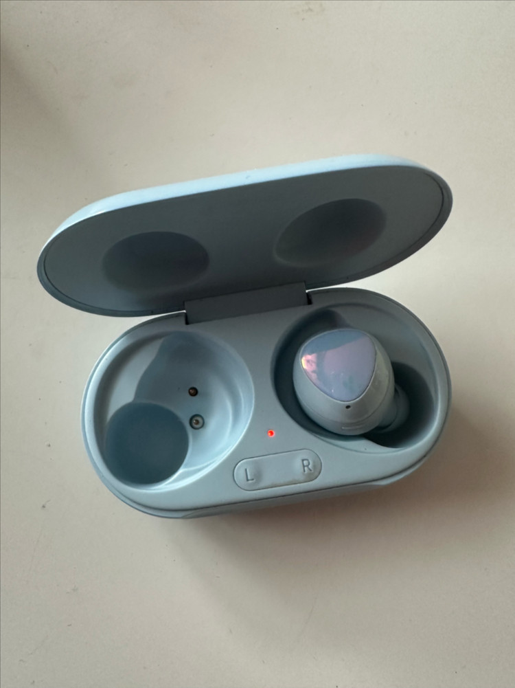 버즈 플러스 본체+오른쪽--1