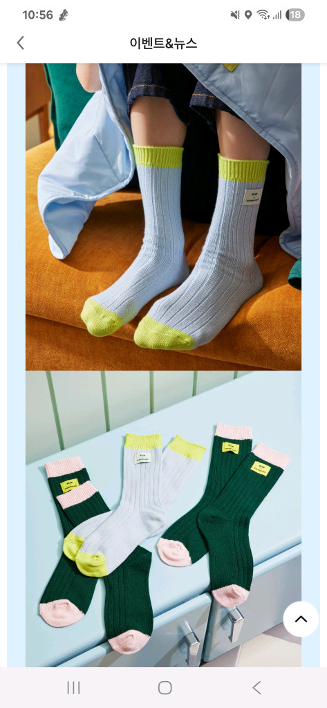 MSGM x 스타벅스 양말 2개 세트 (그린+블루)--1