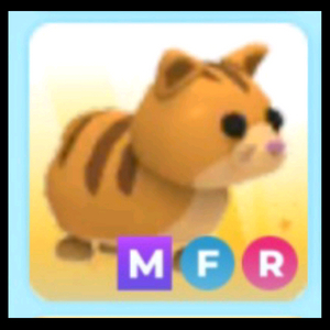 입양하세요 메가네온 뚱냥이 판매합니다~ 이미지