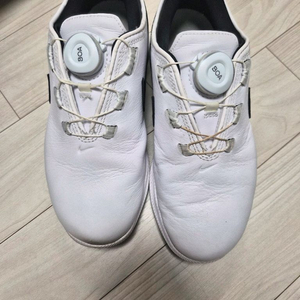 나이키 여성골프화