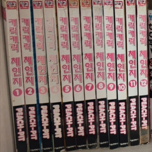 캐릭캐릭체인지 캐캐체 구판 만화책 1~12 전권 이미지