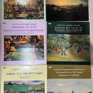 클래식 LP 베토벤 / 모차르트 / 하이든 6장 세트