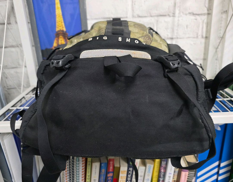 노스페이스 빅샷 백팩 페이즐리 BF28 이미지