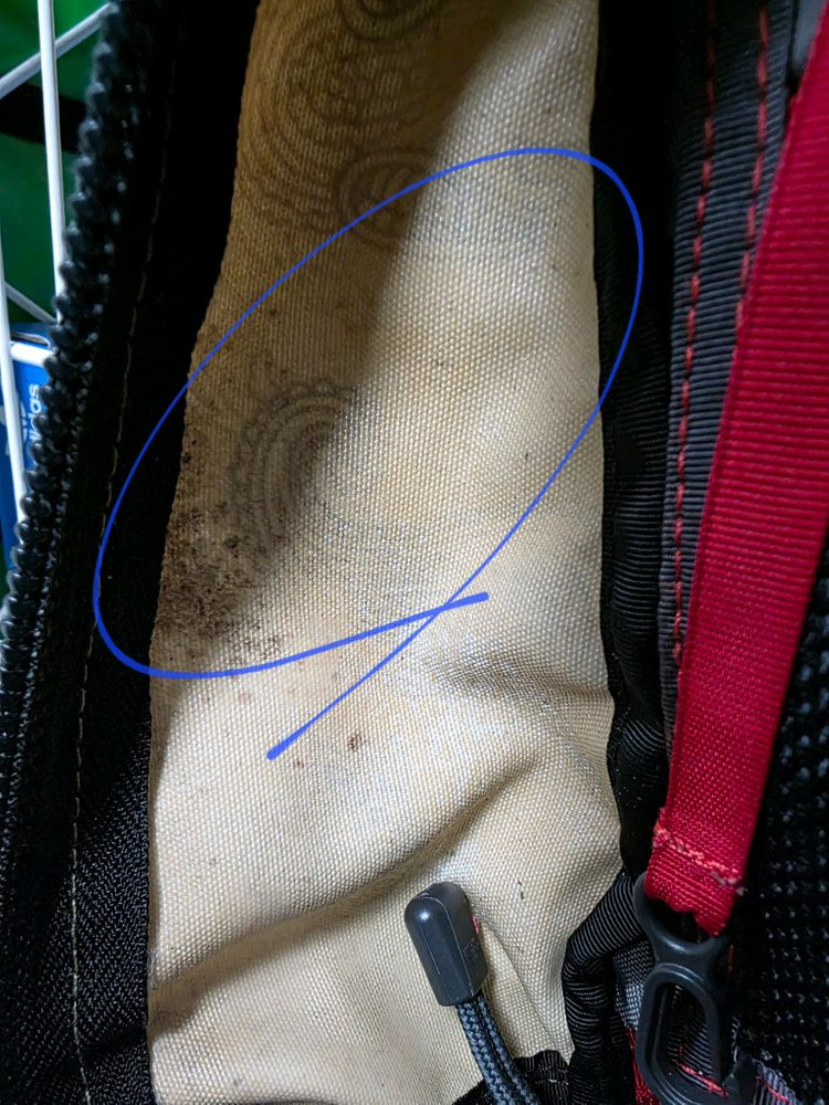 노스페이스 빅샷 백팩 페이즐리 BF28 이미지