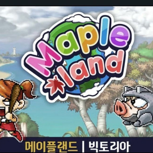 메이플랜드 월드코인 이미지