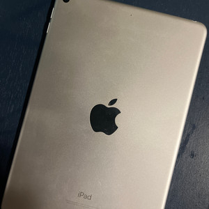 아이패드 미니5세대 64기가 팔아요