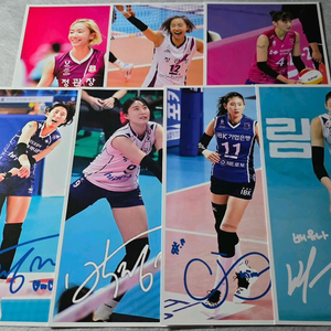 여자배구 스카우팅 리포트 특전 | 배유나 김수지 박정아