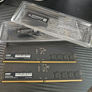 클레브 ddr5 5600 32gb(16x2)