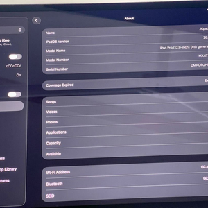 아이패드 프로 4세대 12.9 256기가 wifi 와이파이