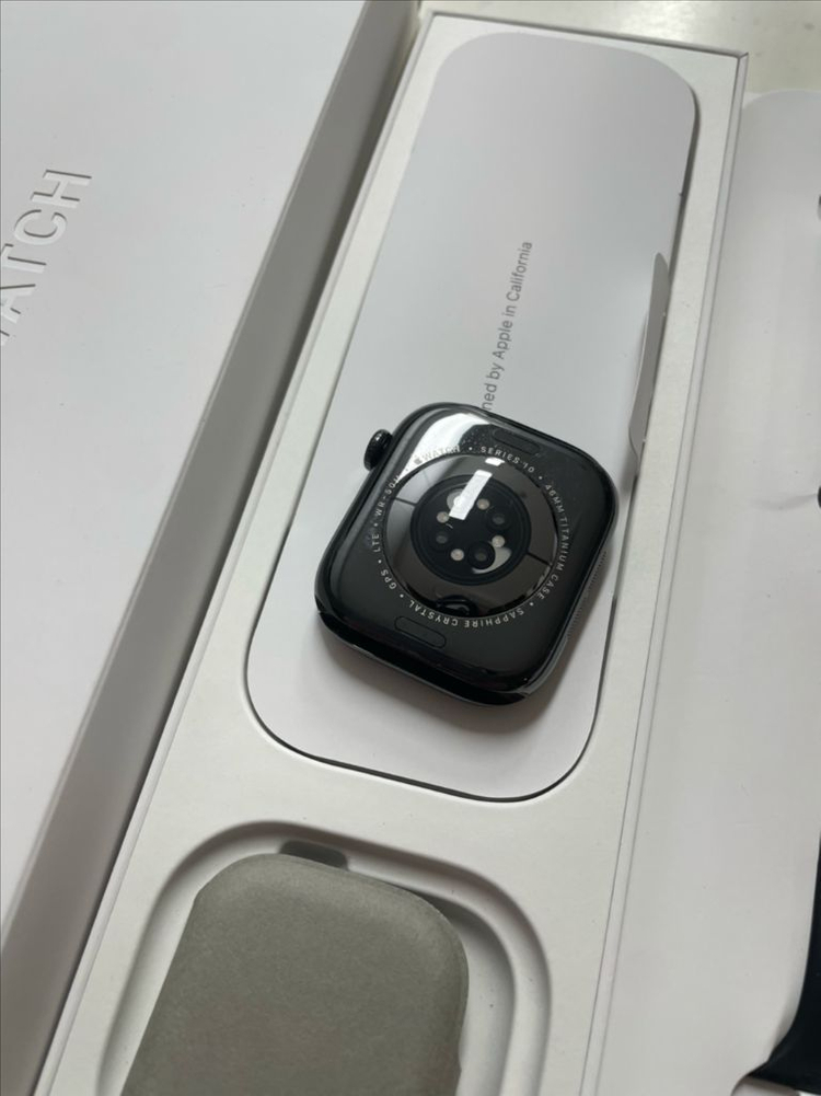 애플워치10티타늄 46mm 슬레이트 SSS급--2