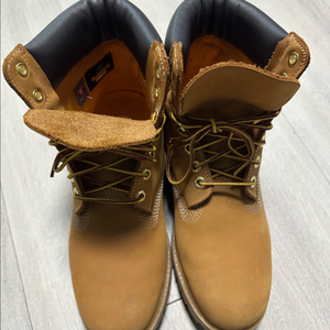 팀버랜드 6인치 프리미엄 워커 255