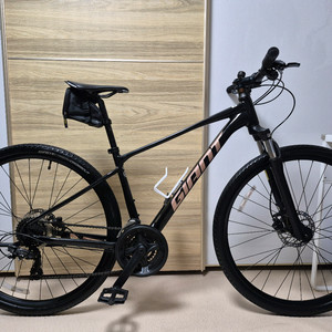 자이언트 ROAM 하이브리드 자전거