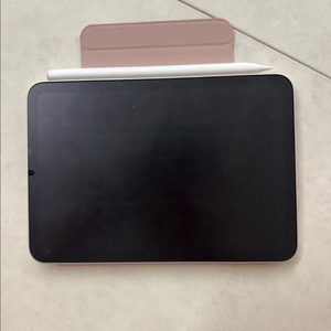 아이패드 미니6 64기가 스타라이트+짭플