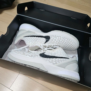 코비6 프로트로 올스타