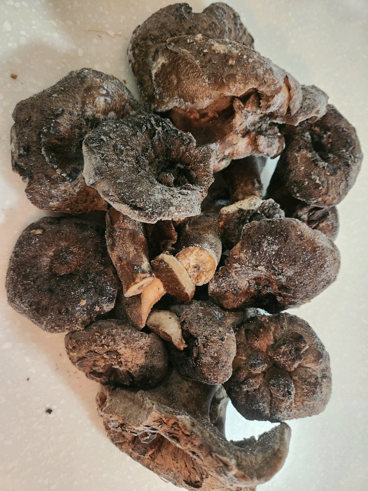 포천 왕방산 국산 야생 자연산 냉동 능이버섯--4