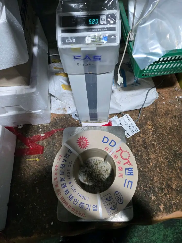 pp밴드 자동밴딩기 끈 이미지