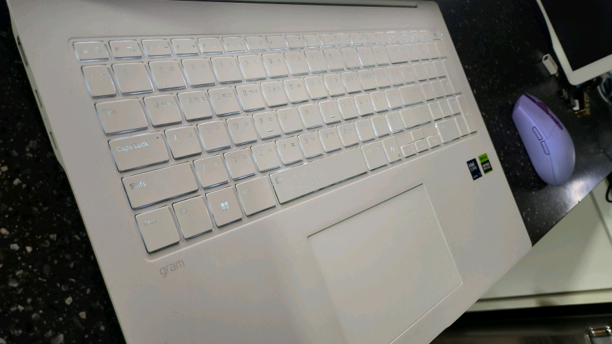 LG 2025 최신 17인치 고성능 그램 프로/램32G,RTX4050 이미지