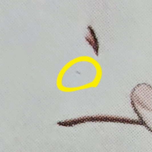 데못죽 류청우 박문대 이디야 포카 2장 일괄--5