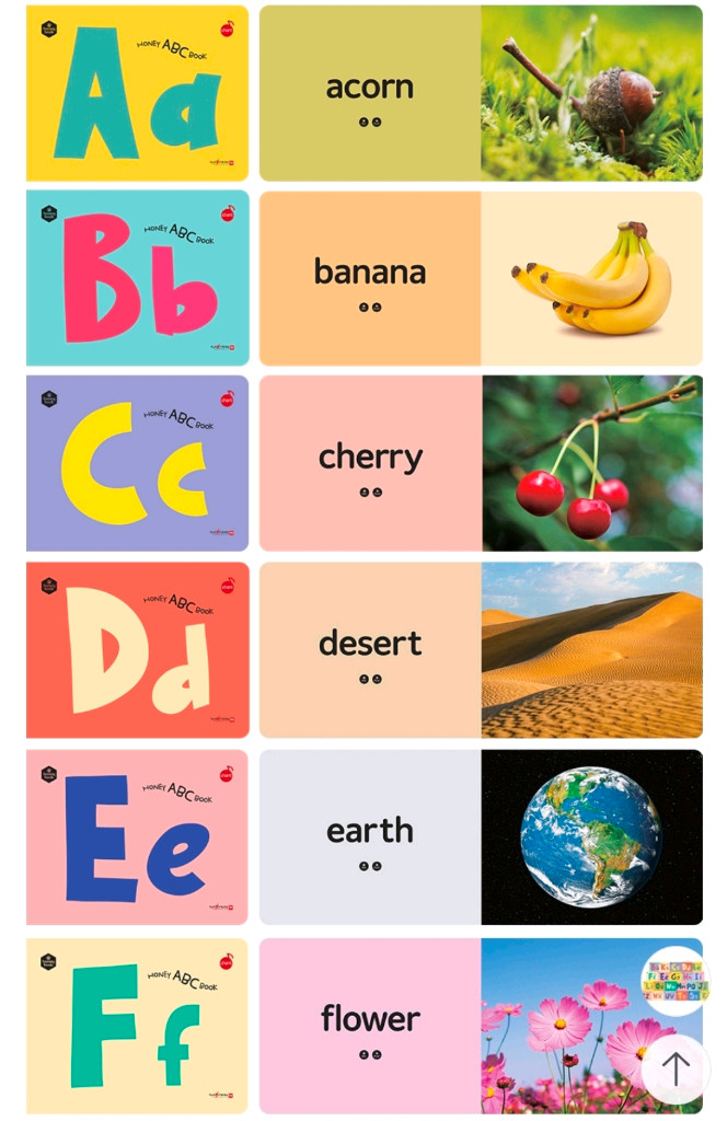 허니북 ABC 북 영어 알파벳 22권(세이펜0+큐알코드)--3