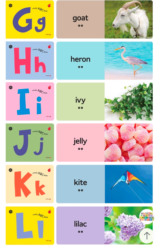 허니북 ABC 북 영어 알파벳 22권(세이펜0+큐알코드)--4