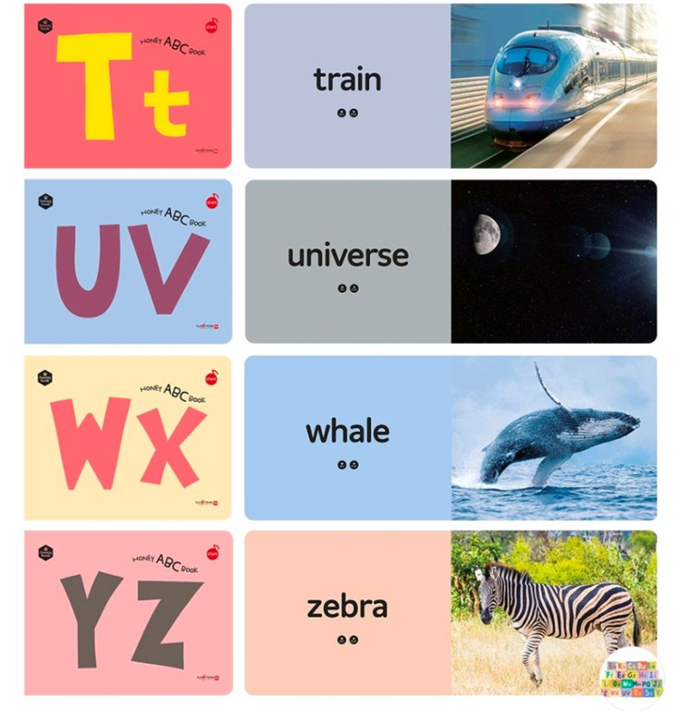 허니북 ABC 북 영어 알파벳 22권(세이펜0+큐알코드)--6