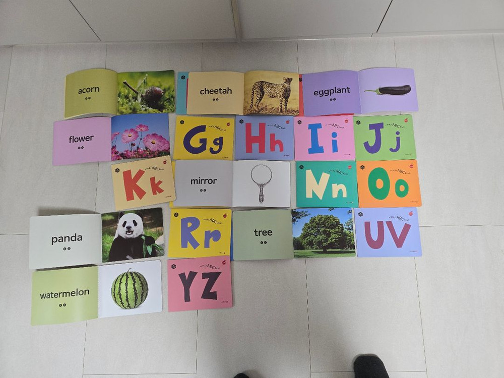 허니북 ABC 북 영어 알파벳 22권(세이펜0+큐알코드)--8