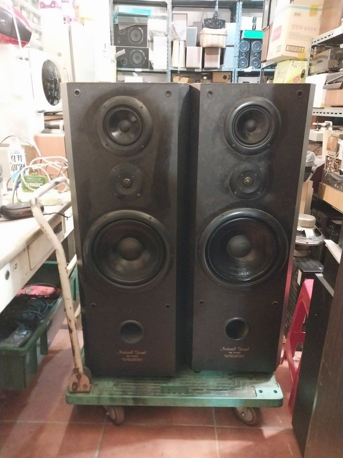 대형 삼성 3웨이 스피커 PS T1100/200 와트 - 화물만 이미지