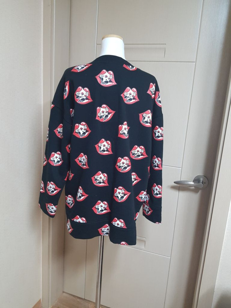 럭키슈에뜨 롱티--1