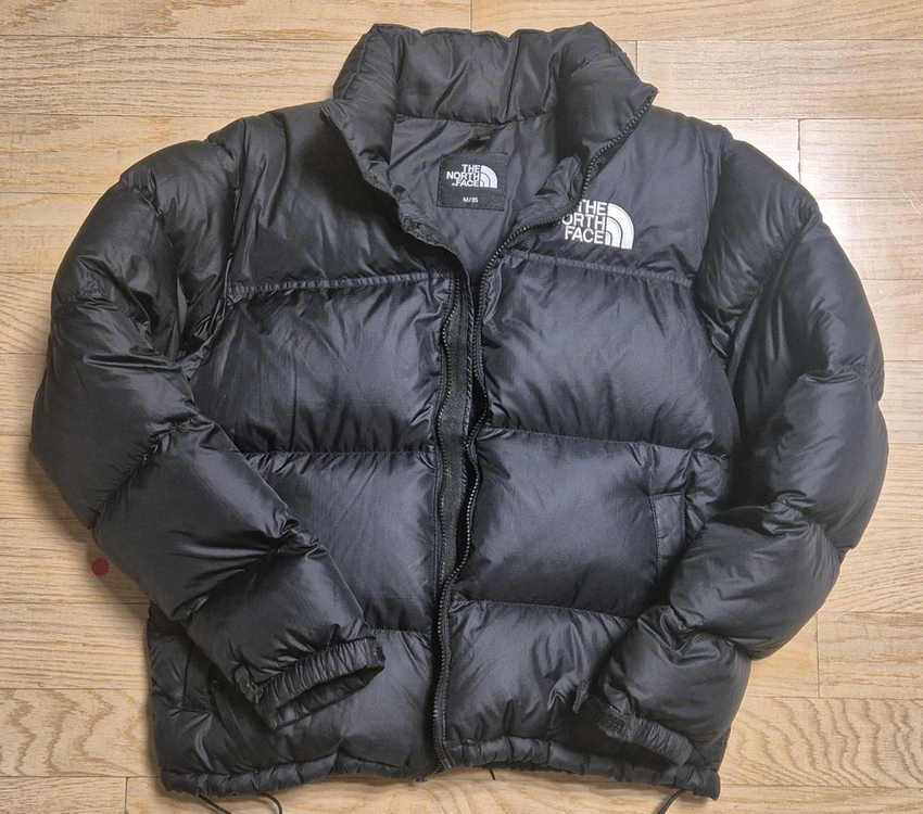 23~24FW 노스페이스 1996 레트로 눕시 구스다운--0