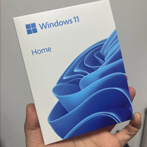 윈도우11 Home FPP (처음사용자용) 정품 판매