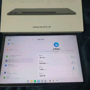 갤럭시탭S9FE 플러스 5G 256GB