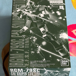 MG 짐 스나이퍼 커스텀 테네스 A. 영 전용기