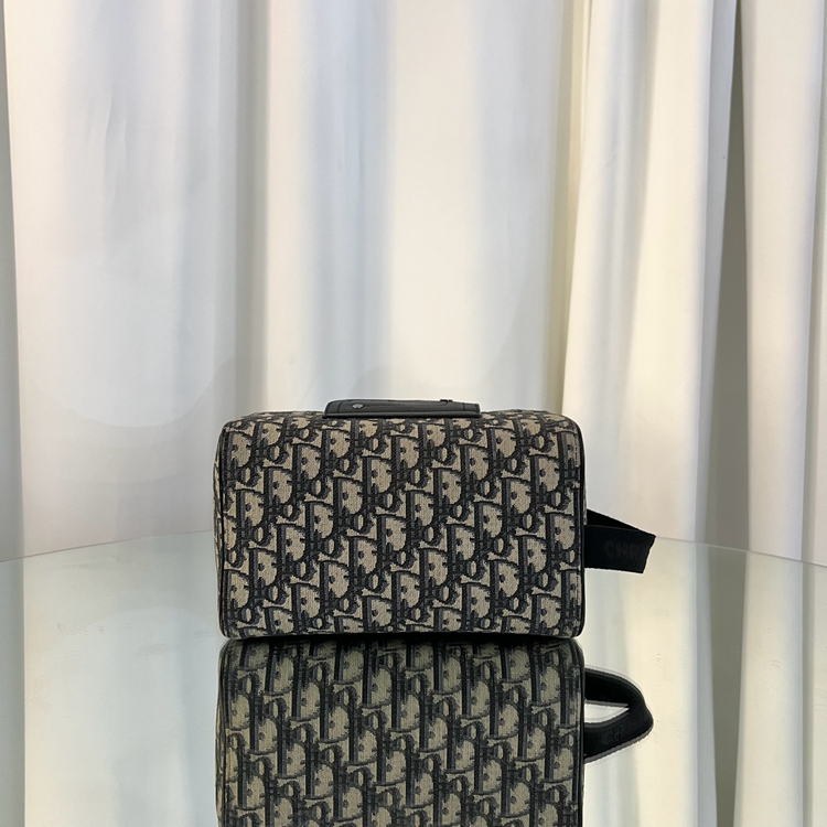 디올 오블리크 링고 토일레트리 클러치백--1