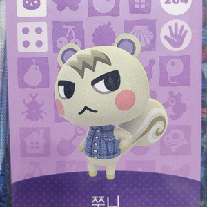 쭈니 아미보 이미지