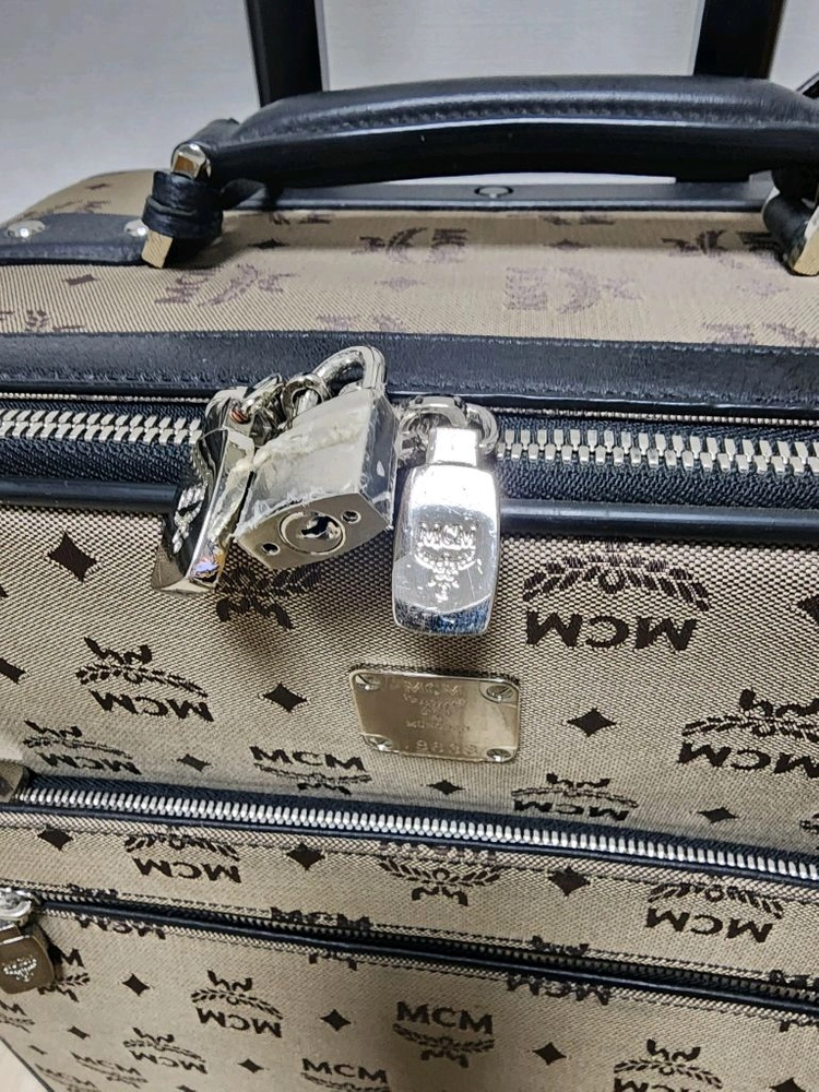 MCM 캐리어 이미지