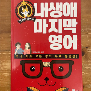 내 생애 마지막 영어 - 개쌤