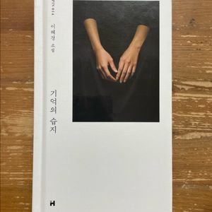 기억의 습지 - 이혜경