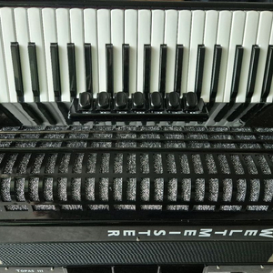 아코디언악기웰트마스트37건96(토파스3)(판매) 이미지