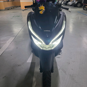 pcx150 2019년식 4만km대 폐지완료