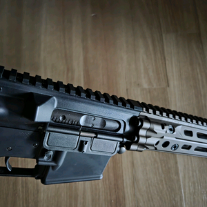 mws 다니엘 디펜스 커스텀