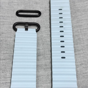 애플워치 아이스블루, 블랙티타늄 오션밴드