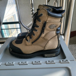 할리데이비슨 워커