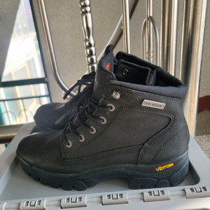 할리데이비슨 워커