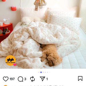 우트 조명 이미지