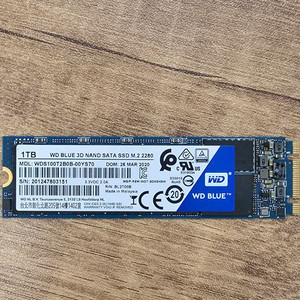 WD Blue 1TB M.2 SATA SSD