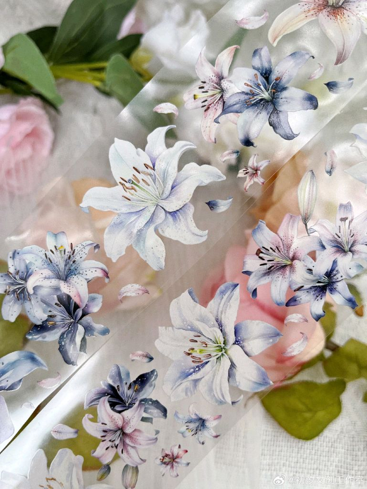 5~8 다꾸 마테 대만마테 해외마테 마스킹테이프 빈티지다꾸 이미지