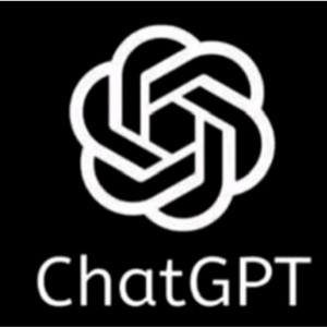 chatgpt plus 챗지피티 플러스 이미지