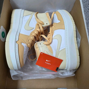 나이키 에어 조던 1 엘리베이트 하이 250